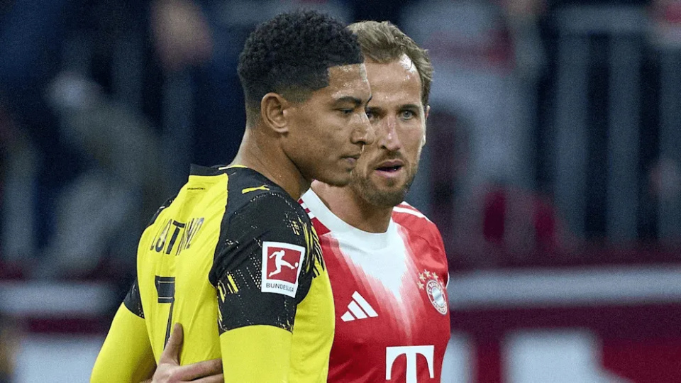 对比较高的 对比较高的